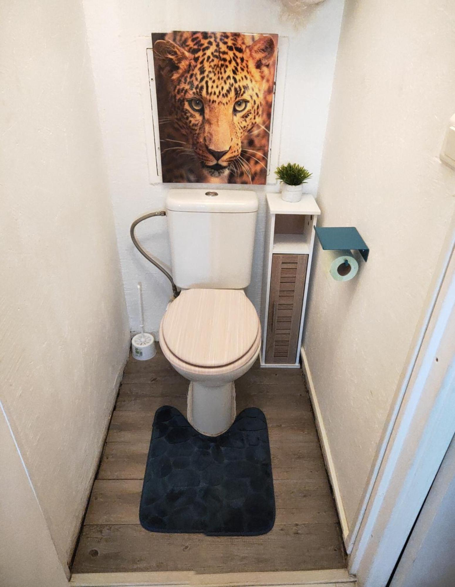 La Perle Marine, Cosy Et Renove, 200 M De La Plage, 1 Chambre, Parking Et Wifi Sète Eksteriør bilde