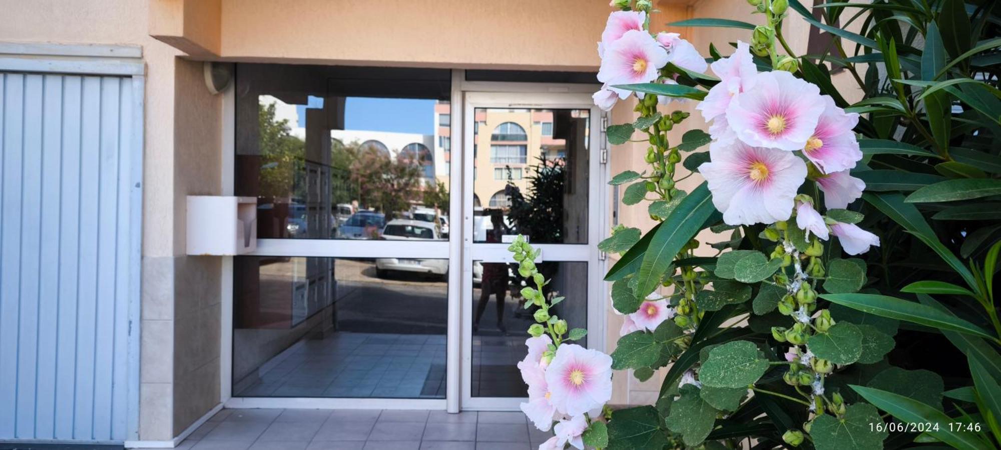 La Perle Marine, Cosy Et Renove, 200 M De La Plage, 1 Chambre, Parking Et Wifi Sète Eksteriør bilde